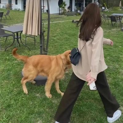 狭路英豪